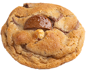 Praline & Milk Chocolate